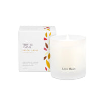 Thistle Farms ~ Santal Amber Candle