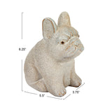 Terra-cotta French Bull Dog, White