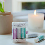 Lip Balm Trio Set | Lavender, Tea Tree Mint, Unscented