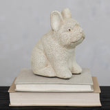 Terra-cotta French Bull Dog, White