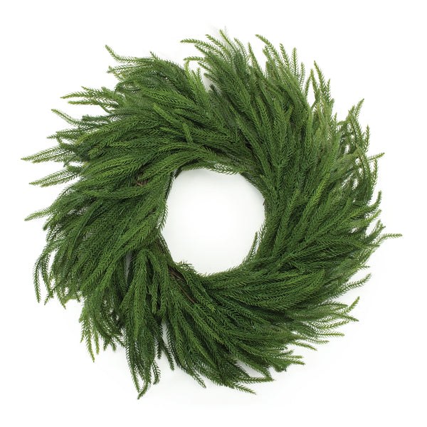 Norfolk Pine Wreath