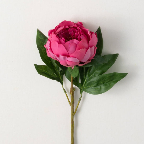 FRESHCUT® DEEP PINK PEONY SPRAY