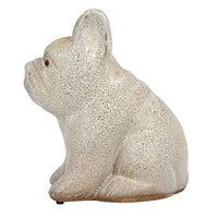 Terra-cotta French Bull Dog, White