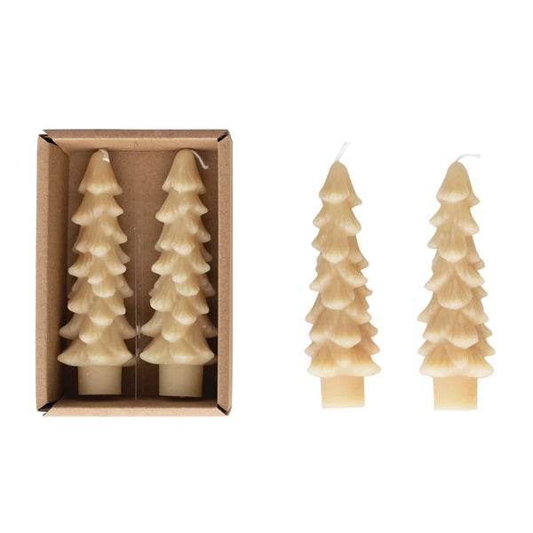 Tree Shaped Taper