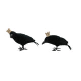 Crow with Feathers & Crown