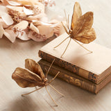 Gold Butterfly